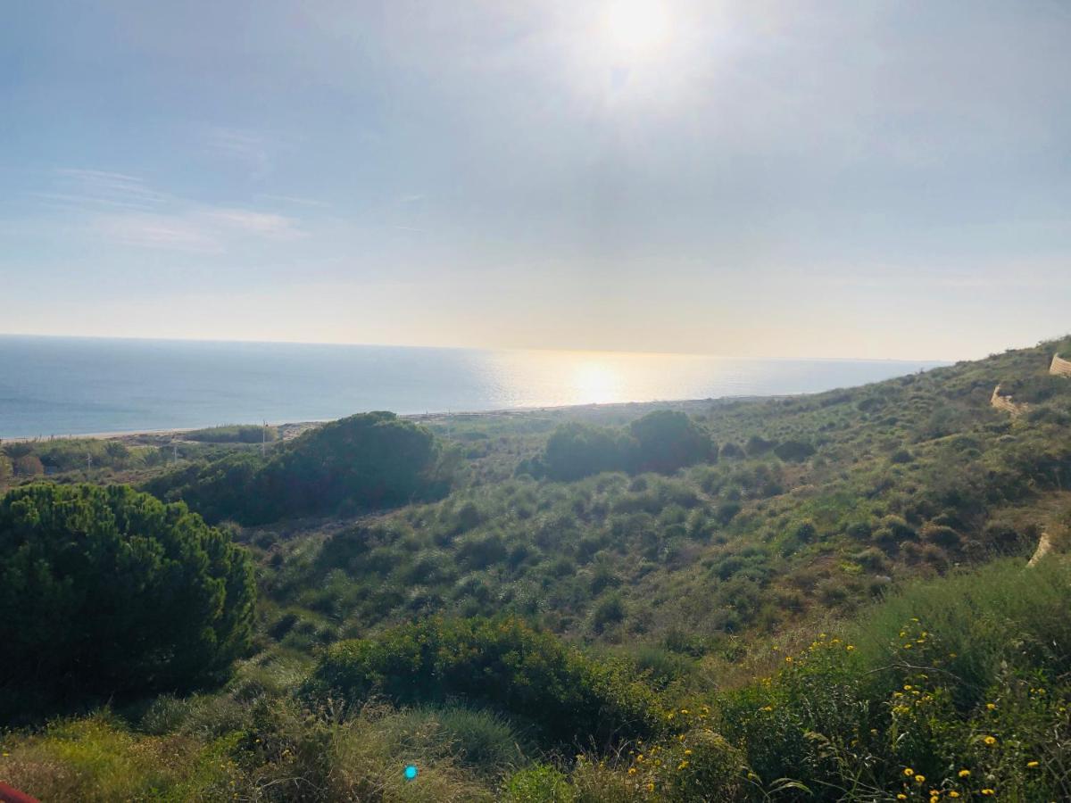 Holiday Villa With Sea View غران ألاكانت المظهر الخارجي الصورة